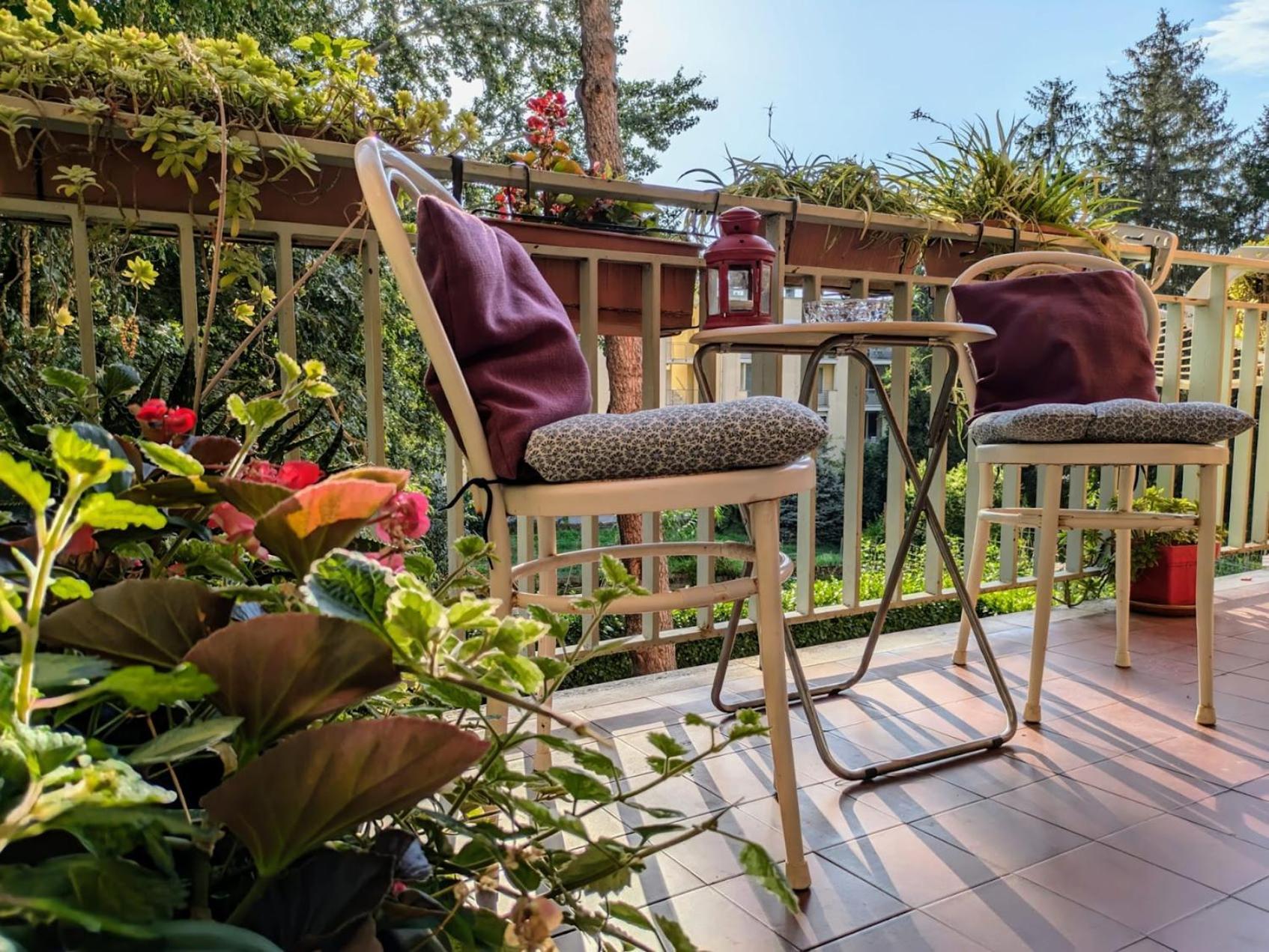Appartamento Viale Puccini - Free Gated Parking - 3 Minutes From Center Лукка Екстер'єр фото
